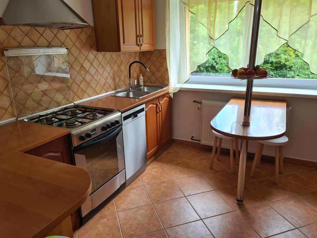 Apartament Pod Wieza Sky Walk Świeradów-Zdrój Dış mekan fotoğraf